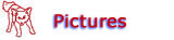 go to Pictures